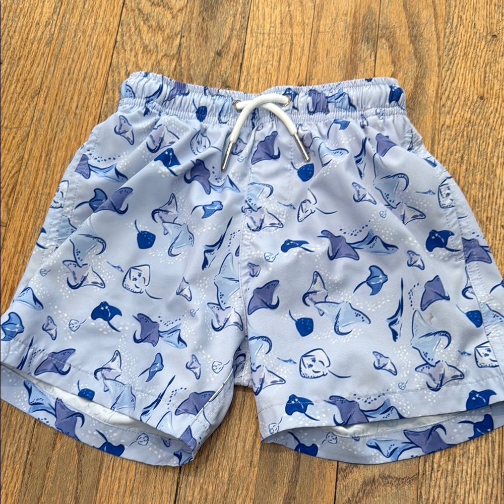 Boys Size 7 BERMIES Bathing Suit - Stingray Print